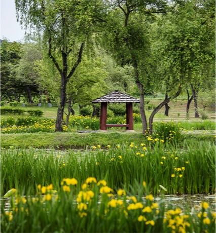 2025_buyeo_06_03.png