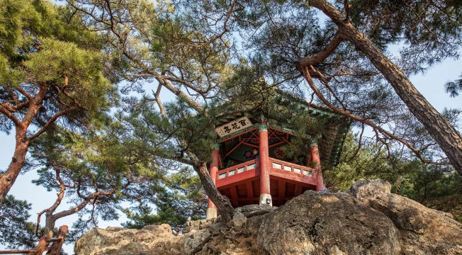 2025_buyeo_07_09.png
