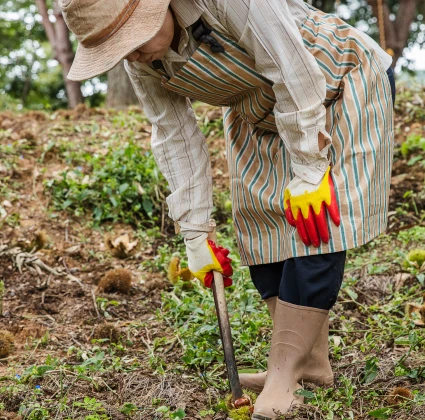 2025_buyeo_10_15.webp