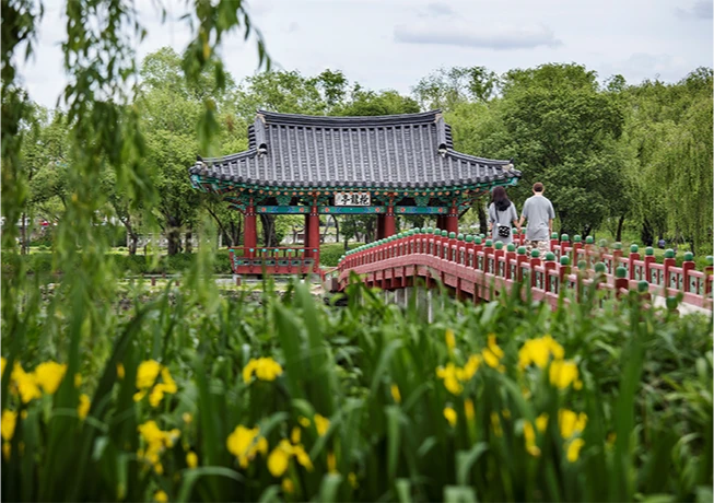2025_buyeo_06_05.png
