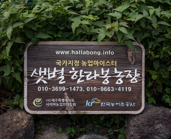 jeju2025_11_06.webp