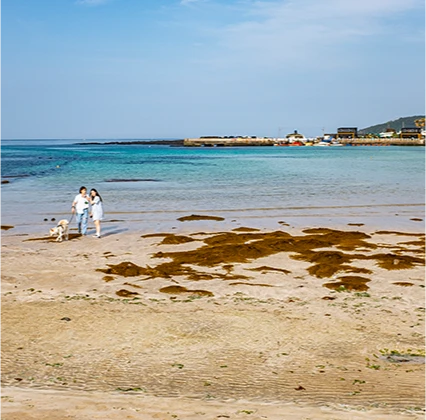 jeju2025_06_02.png