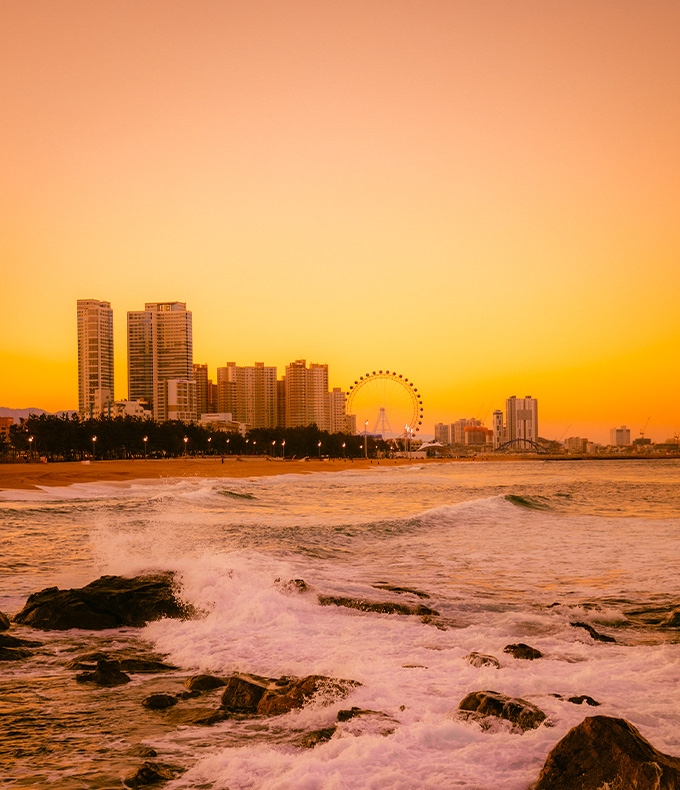  롯데리조트속초 신년 해돋이 이벤트