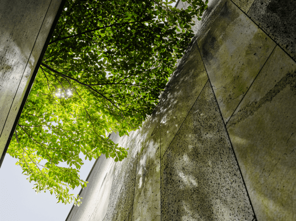 Lotte Jeju Art Villas DA GROUP - Rooms that connect two spaces of varying heights, allowing communication with nature through the interplay of the sun and moon, wind, and forest.