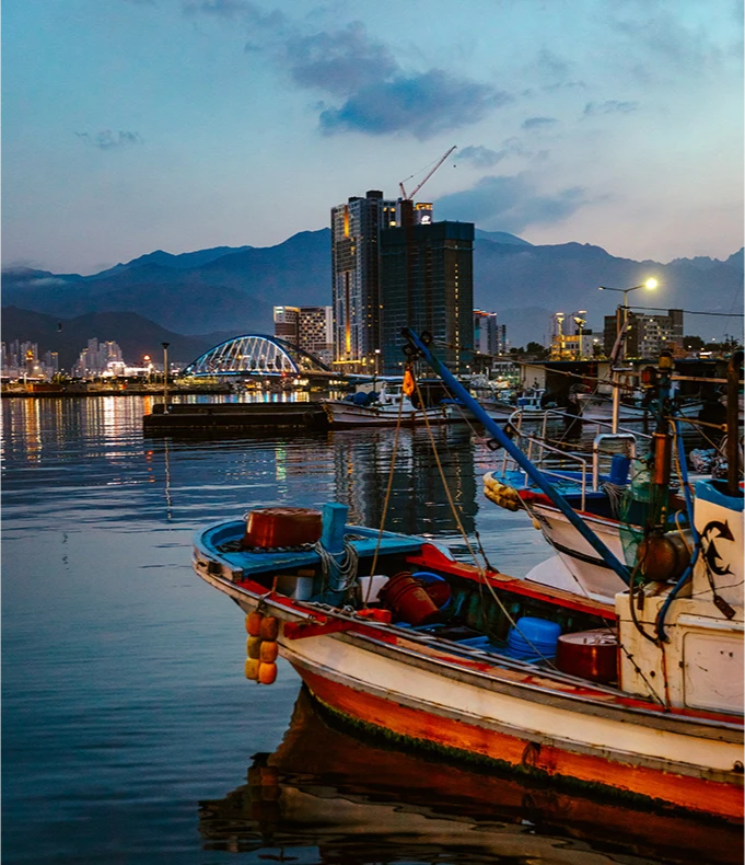 속초 동명항 오징어난전