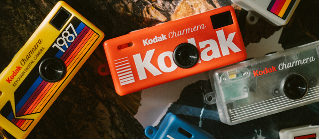 반려견 동반 라운드