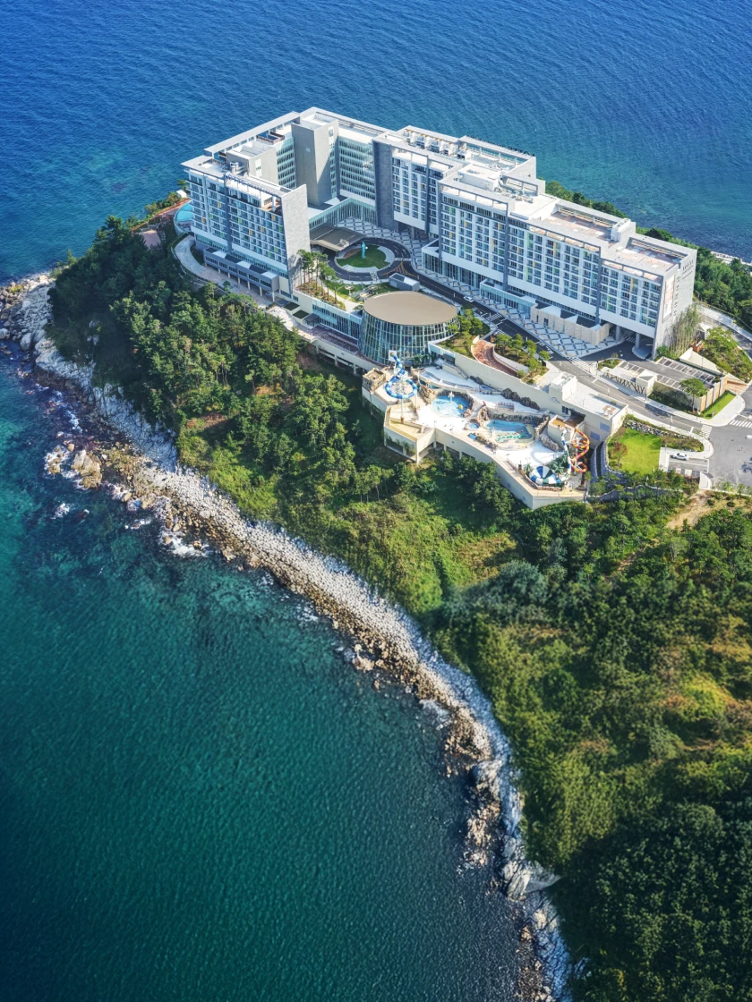 [오픈런] 26년 5월 가정의달