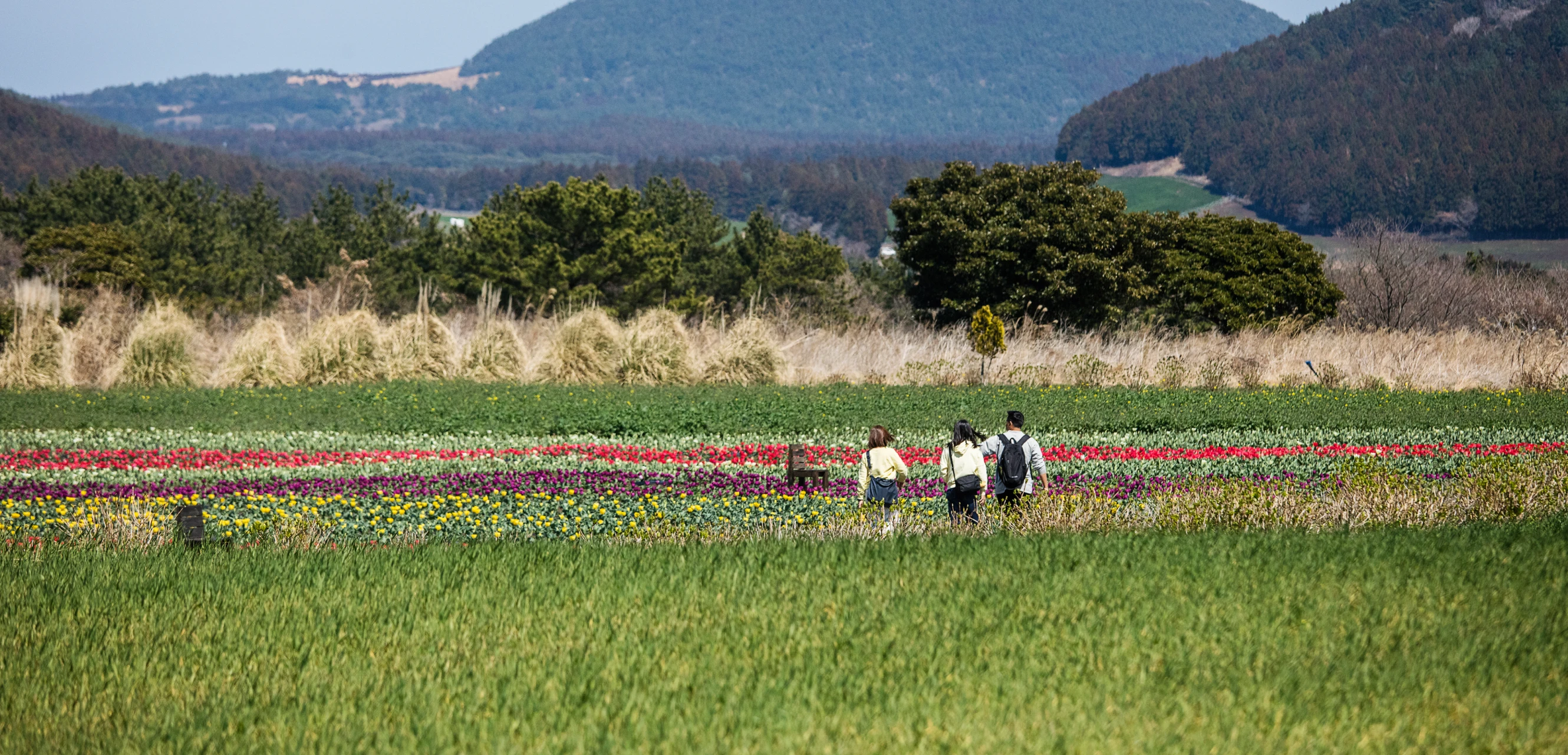 제주 중산간 여행