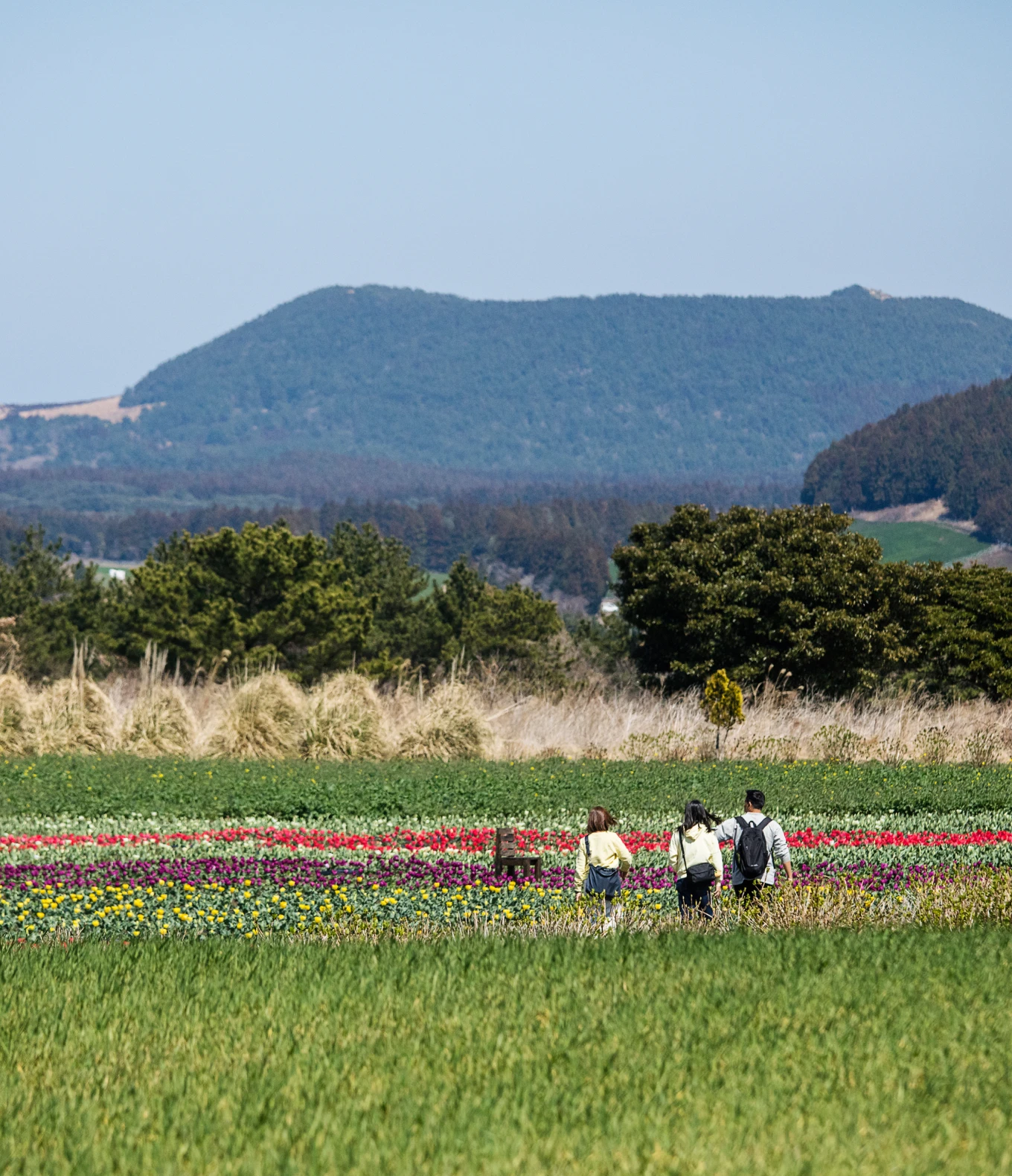 제주 중산간 여행